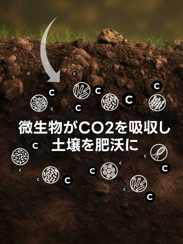 微生物がCO2を吸収し土壌を肥沃に